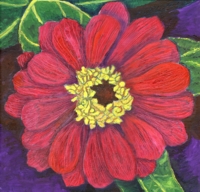 Oil painting of a flower from my sister's garden